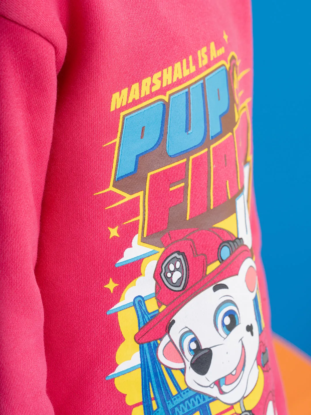 Chest Printed Paw Patrol Pink Sweatshirts
