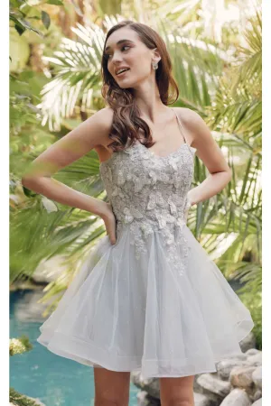 Dama Dresses for Quinceanera in Silver Style 902 Quince Outfit